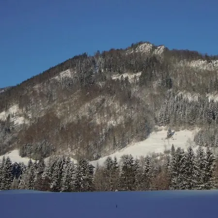 Haaralm - Haus Daniel 펜션 루폴딩