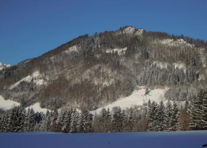 Haaralm - Haus Daniel 펜션 루폴딩